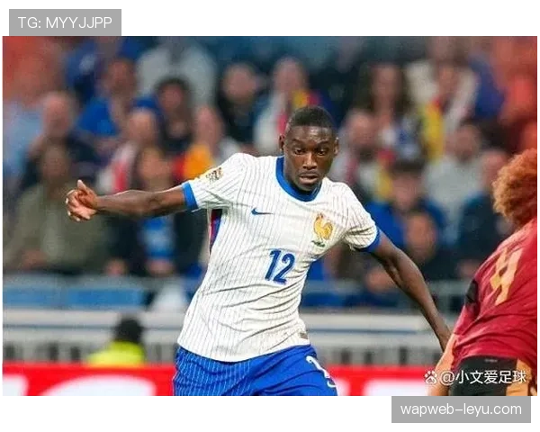 法国高卢雄鸡强势归来,欧洲杯赛场实力与风采引发广泛关注 法国高卢雄鸡强势归来,欧洲杯赛场实力与风采引发广泛关注