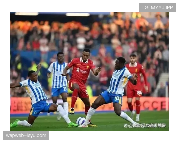 纽卡斯尔联上演英超逆袭奇迹，团队精神铸就稳健崛起