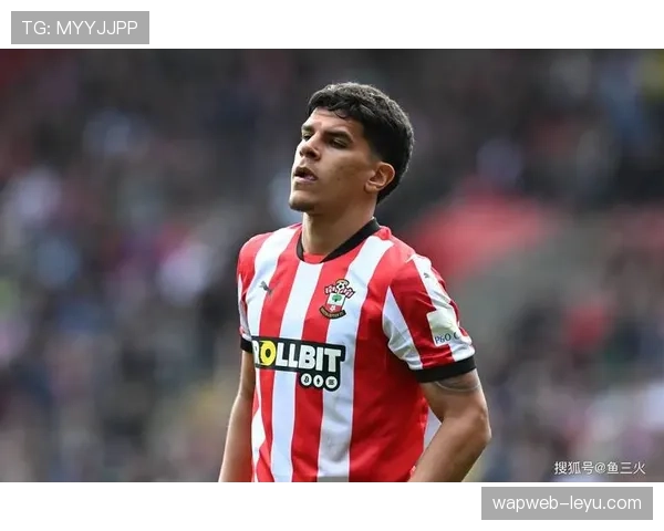 英超新星杰弗森·莱尔马状态回暖,未来发展备受关注 英超新星杰弗森·莱尔马状态回暖,未来发展备受关注