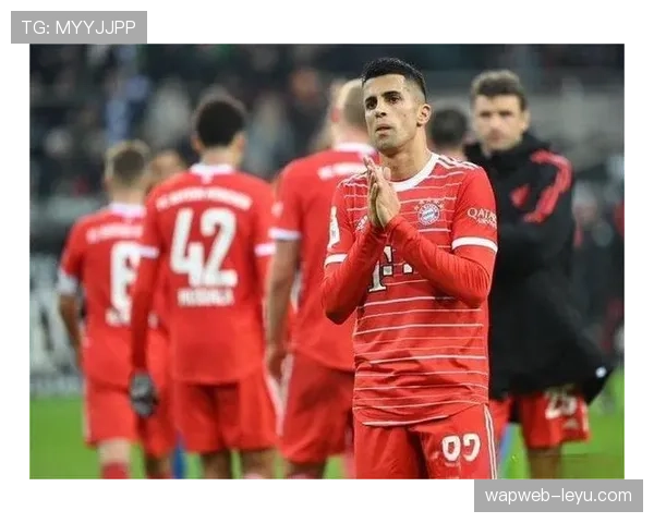 若昂·坎塞洛:本菲卡青训出身的技术型边卫 若昂·坎塞洛:本菲卡青训出身的技术型边卫